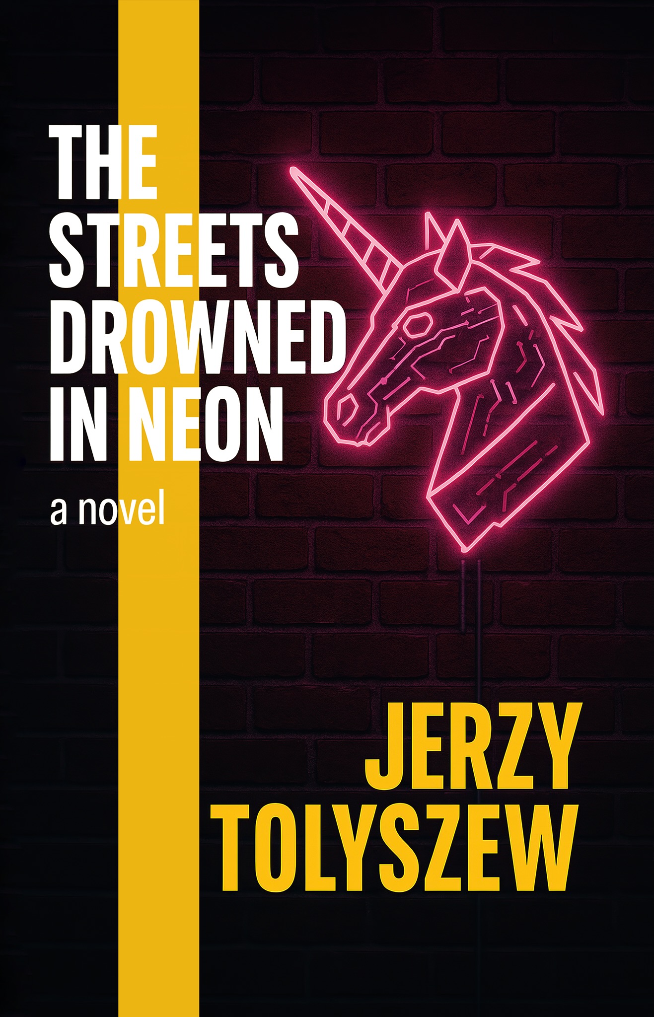 The Streets Drowned in Neon